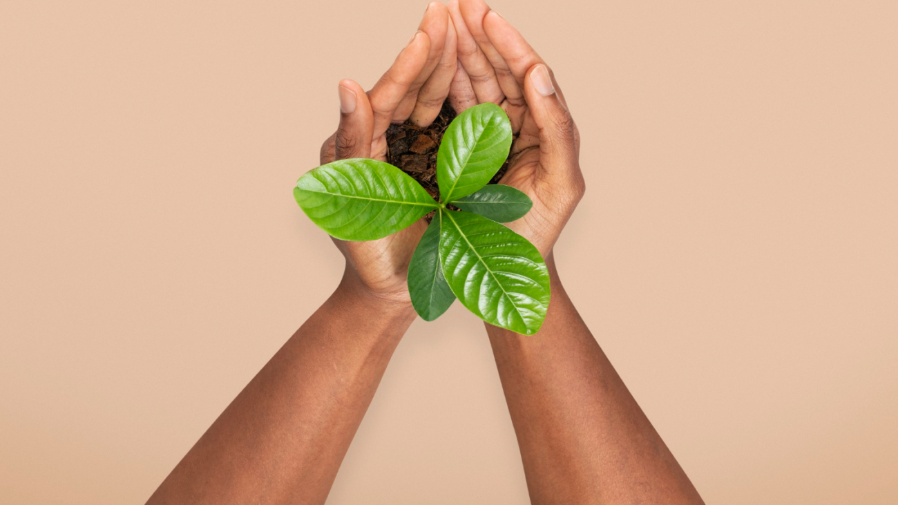 hands-cupping-plant-save-the-environment-campaign