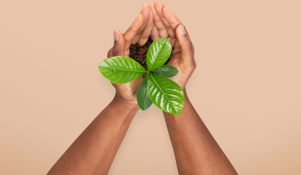 hands-cupping-plant-save-the-environment-campaign